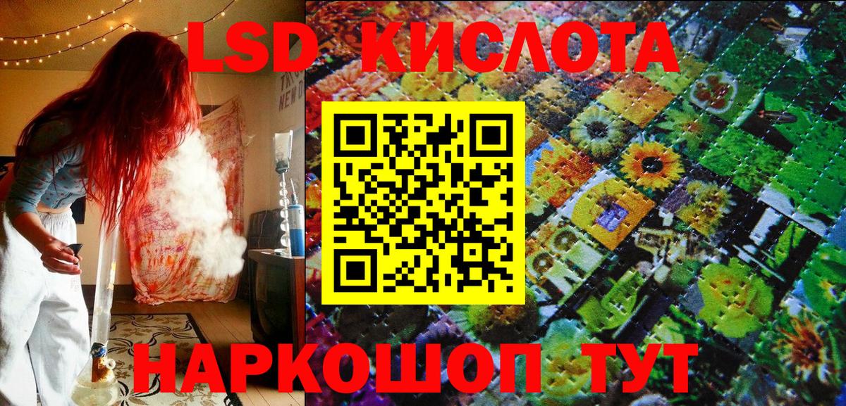 МЕФ Волхов