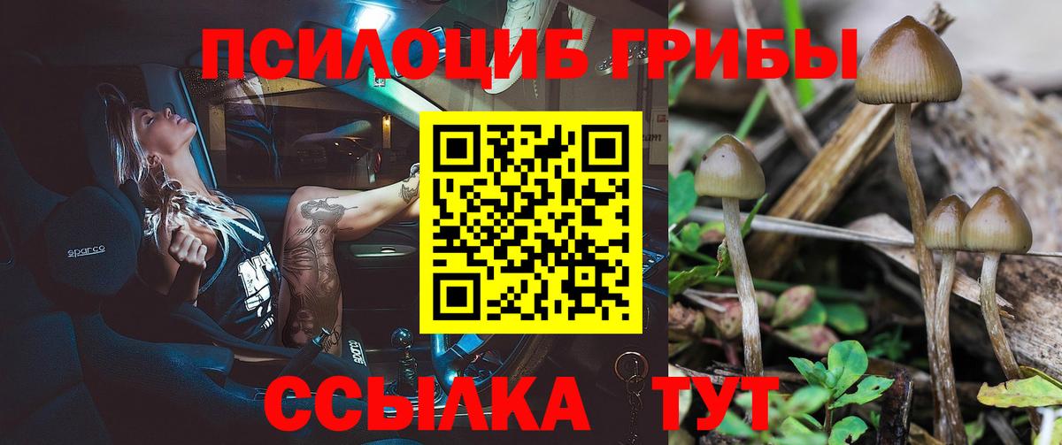 Волхов  Галлюциногенные грибы прущие грибы  купить  сайты  Вход с VPN  Псилоцибиновые грибы Cubensis 