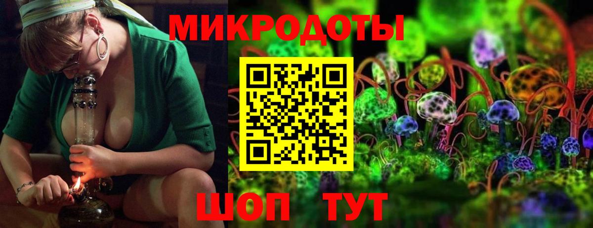 Галлюциногенные грибы мицелий Волхов